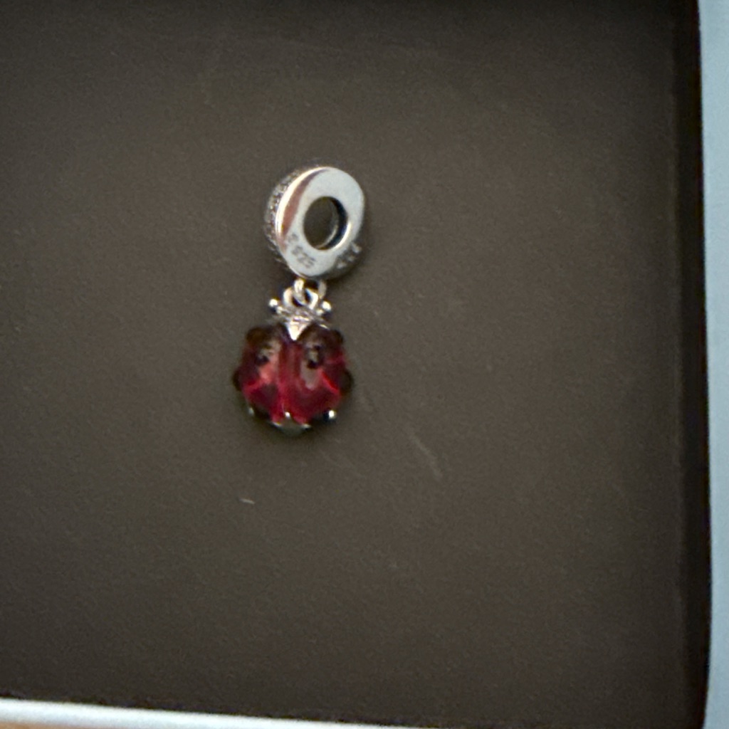 Elegant Silver And Red Charm Pendant